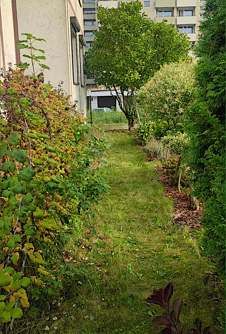 Przed modernizacją 3