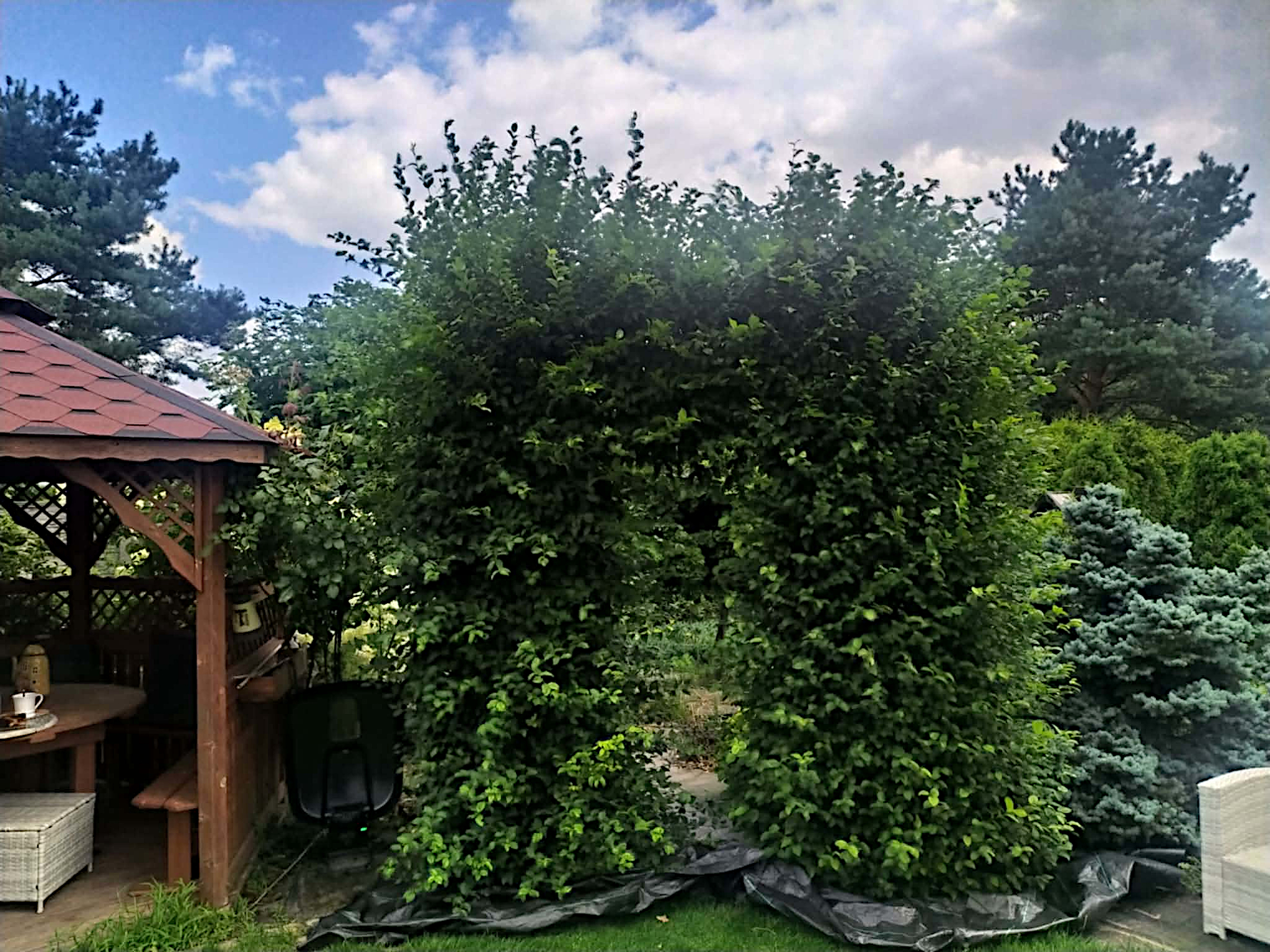 Przed modernizacją 1